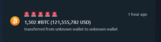 A Bitcoin alert notification shows a transfer of 1,502 #BTC (124,555,782 USD) between unknown wallets, illustrating the kind of large-scale crypto transaction that sparks the "what if" feeling of wondering what might have been had one bought early and held.