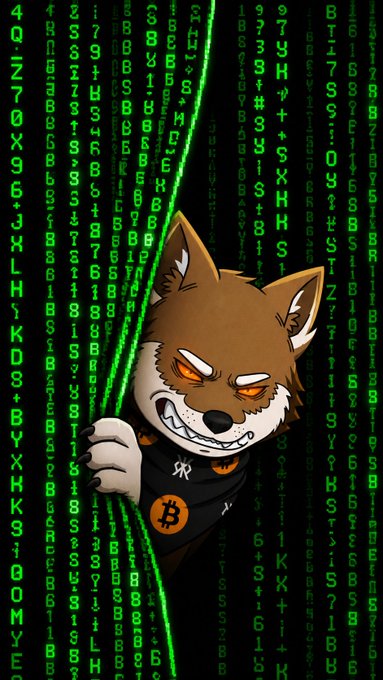A stylized cartoon fox character wearing a black shirt with an orange Bitcoin logo, peeking from behind a green digital matrix code background.