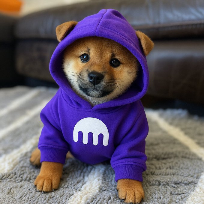 A small brown puppy wearing a purple hoodie with a white Kraken-style logo, sitting on a textured gray rug in front of a brown leather couch.