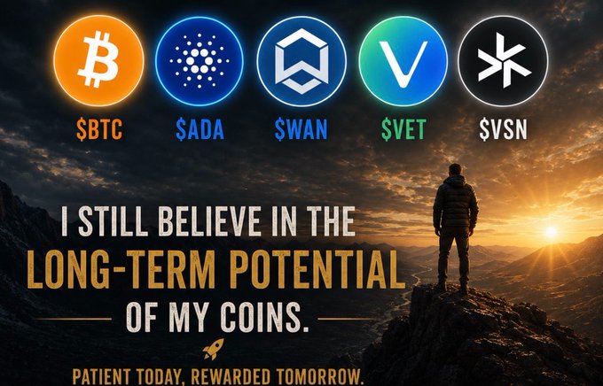 The image features a man standing on top of a mountain, with a sunset behind him. The text overlaying the photo reads "I still believe in the long-term potential of my portfolio and I'm willing to stay patient through the noise". This message is related to the post about Bitcoin and cryptocurrency, as it emphasizes the importance of patience and staying committed to one's investments during challenging times.