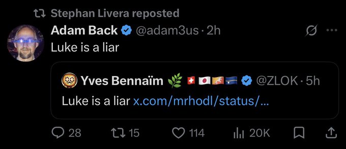 The image shows a screenshot of an X (Twitter) post by Adam Back (@adam3us) with 20K views, retweeted by Stephan Livera, stating "Luke is a liar" in response to a post by Yves Bennaim (@ZLOK) also claiming "Luke is a liar." The exchange exemplifies the "smears, smears and more smears" referenced in the caption, depicting Bitcoin community figures publicly trading accusations of dishonesty.