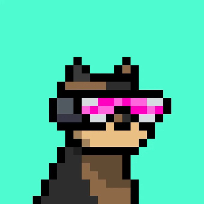 A pixel art rendering of a dog wearing pink goggles and a hat against a teal background, visually representing the "Doginal Dog" persona referenced in the caption about perseverance in a tough market.