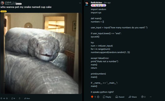 A split-screen Reddit post: on the left, a user shares a photo of a pet snake with the caption 'who wanna pet my snake named cup cake'; on the right, a user posts Python code with the title 'it speaks python right?'.