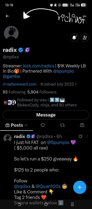 A screenshot of a Twitter/X profile for 'radixx' (@rqdixx) showing a verification badge, a follower count of 5,904, and a pinned post announcing a $250 giveaway with instructions to follow, like, comment, and tag 2 friends.