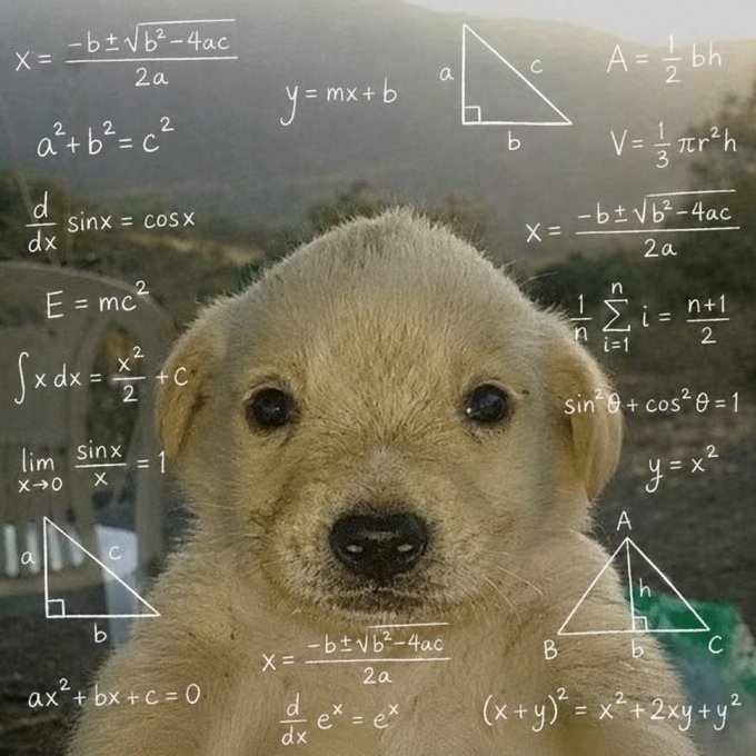 A cute golden puppy looks directly at the camera while surrounded by white handwritten math equations and formulas, including E=mc², the quadratic formula, y=mx+b, the Pythagorean theorem (a²+b²=c²), and various calculus expressions.