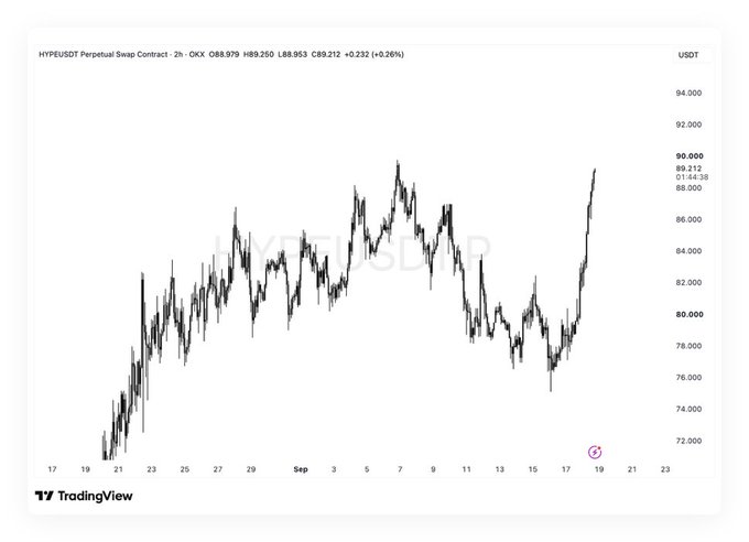 A TradingView price chart for the HYPEUSDT Perpetual Swap Contract, currently at 89.250, showing price movements over September with a watermark.