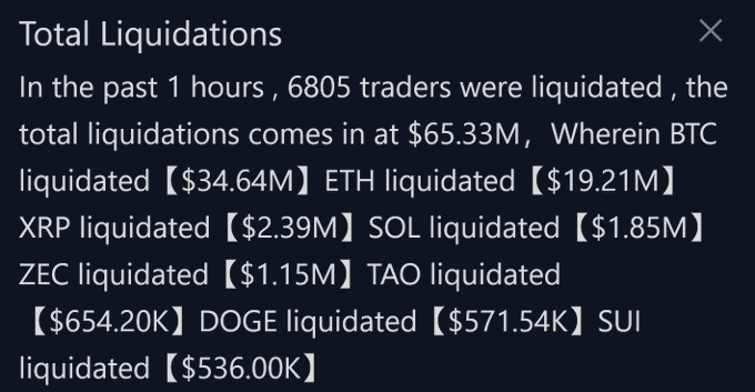 The image shows a "Total Liquidations" notification reporting that 6,805 traders were liquidated in the past hour, totaling $65.33M, with BTC ($34.64M), ETH ($19.21M), XRP ($2.39M), and SOL ($1.85M) leading the liquidations.

This screenshot relates to the "numbers for ants" caption by presenting staggering liquidation figures — particularly the $65.33M in just one hour — suggesting the massive scale of these losses is too overwhelming to fully comprehend, like trying to count grains of sand.