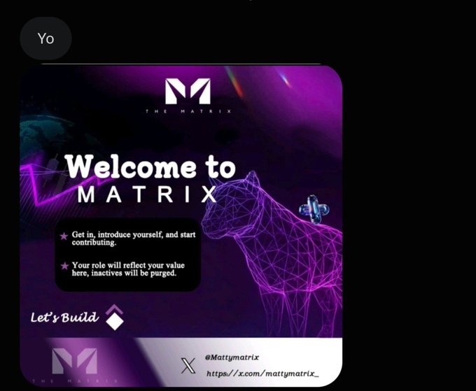 A 'Welcome to MATRIX' graphic with a purple neon wireframe bear, stating 'Get in, introduce yourself, and start contributing' and 'Your role will reflect your value here, inactives will be purged,' tagged @Mattymatrix_.
