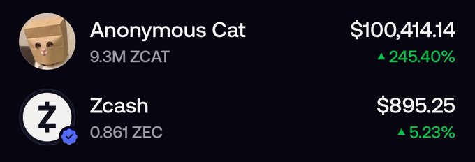 A cryptocurrency portfolio showing Anonymous Cat (ZCAT) valued at $100,414.14, up 245.40%, with 9.3M ZCAT, and Zcash (ZEC) valued at $895.25, up 5.23%, with 0.861 ZEC.
