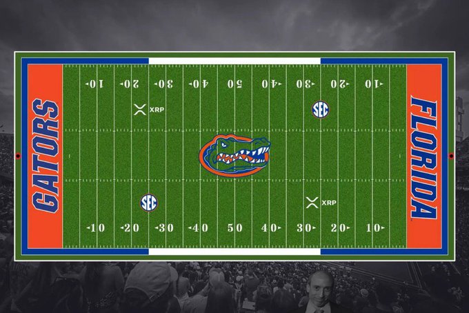 An overhead view of a football field graphic featuring 'GATORS' and 'FLORIDA' end zones with a Gators logo at midfield, set against a backdrop of a stadium crowd and an image of Elon Musk.
