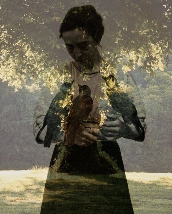 A surreal double-exposure photograph blending the silhouette of a woman with the foliage and grass of a natural landscape.
