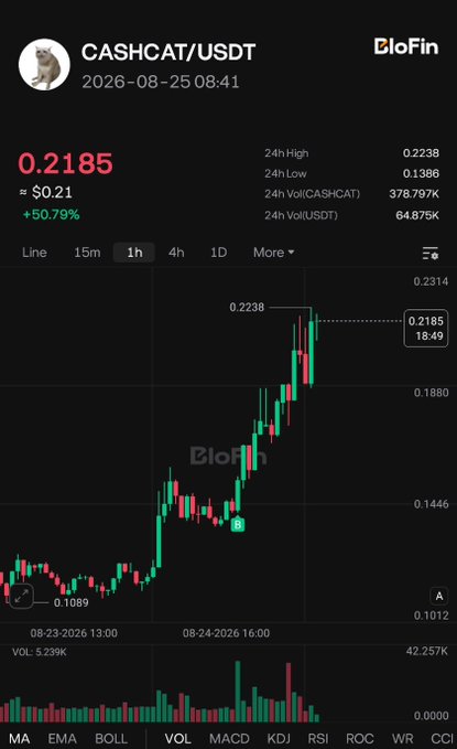 A BloFin chart shows CASHCAT/USDT surging to $0.2185 (up +50.79%) in the past 24 hours, with a 1-hour candlestick pattern reaching a high of $0.2338, visually reinforcing the post's claim of "$CASHCAT: Same setup. Again and again."