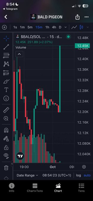 A mobile screenshot of the Telegram channel 'BALD PIGEON' showing a TradingView chart for $BALD/SOL with a current price of 12.45K (+2.07%) and volume data on a 15-minute timeframe.