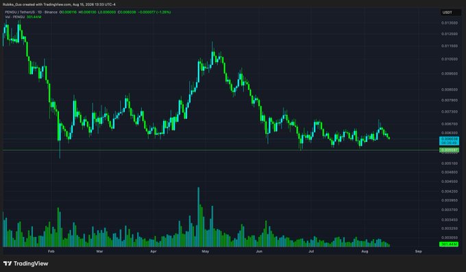 A TradingView daily candlestick chart for PENGU/USDT on Binance shows the token's price action from August 2024 through August 2025, with values ranging from approximately 0.003 to 0.013, highlighting its significant decline from a January peak. The chart visually supports the post's bullish outlook on PENGU by displaying its current low price level relative to historical highs, suggesting potential upside if a future bull run occurs.