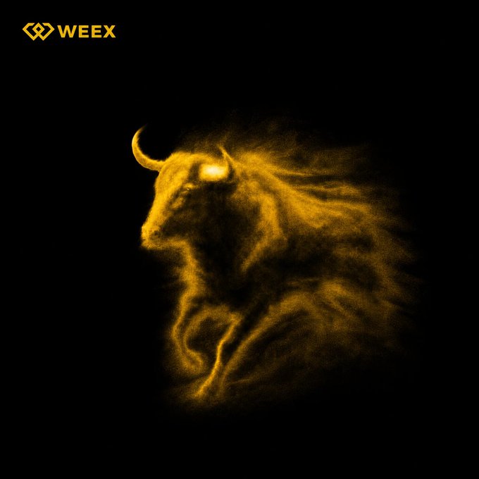 A glowing golden bull made of swirling dust emerges from a black background, with the "WEEX" logo in the top left corner. The ethereal bull symbolizes rising market momentum, visually embodying the post's question about whether the moment marks a brief pump or the beginning of a sustained bull run.