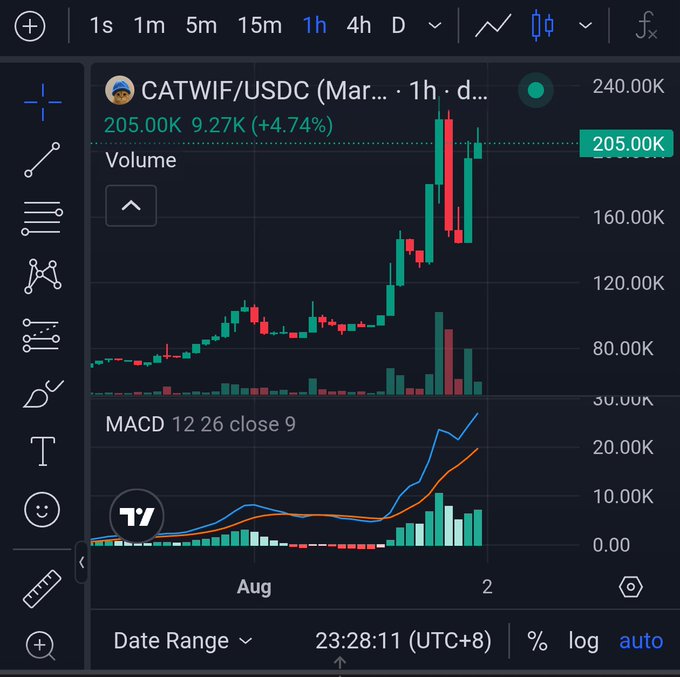A cryptocurrency trading chart showing CATWIF/USDC pair trading at 205.00K, up 9.27K (+4.74%), with MACD indicator and volume bars on a 1-hour timeframe.
