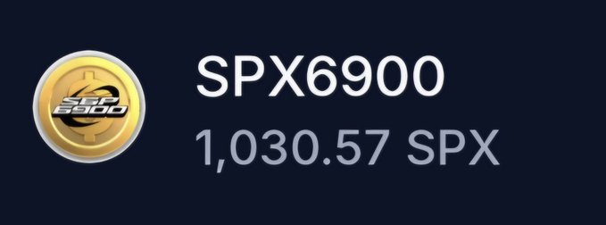 The image shows a crypto asset holding of 1,030.57 SPX6900 (SPX) coins displayed next to its gold coin logo, illustrating the poster's accumulation progress toward their 10K coin goal during "Week 2" of buying #spx6900.