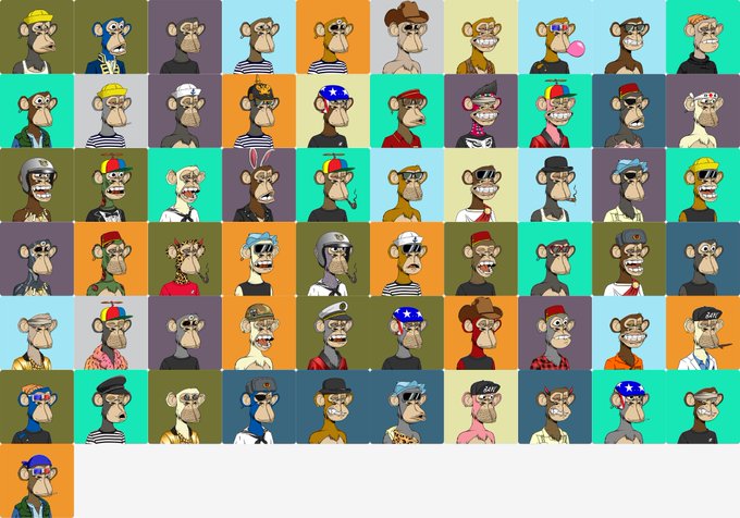 A grid collage of various Bored Ape Yacht Club (BAYC) NFT profile pictures, featuring stylized cartoon apes with different accessories, hats, and expressions against various colored backgrounds.