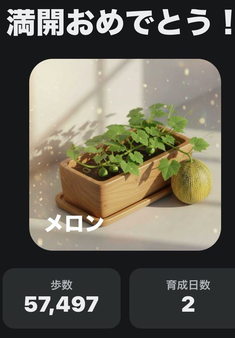 The image features a plant growing out of a wooden pot, with a melon placed next to it. The background appears to be black, which contrasts with the white text displayed below the image. Below the image, there are two buttons labeled "stepn" and "stepn2". These buttons appear to be part of an app or website that provides information about the plant and its growth stages.