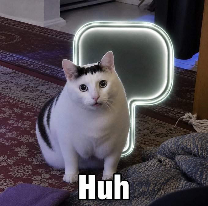 A black and white cat with a surprised expression sits on a patterned rug, with a glowing speech bubble above it containing the word "Huh".