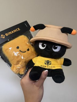 A hand holds a black Binance Web3 Chain plush mascot wearing an orange hat, alongside a packaged Binance logo pin cushion.