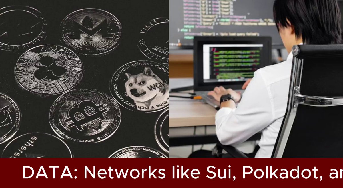 The image shows a collage of two photos featuring a person sitting at a desk with a computer screen displaying code or data analysis. The first photo depicts a collection of various Bitcoin coins scattered across the background, while the second photo features a close-up view of a person working on their laptop. The text in the image reads "DAT.NETWORKS LIKE SUI, POLKADOT, AR", suggesting that the collage is related to data analysis or cryptocurrency networks.