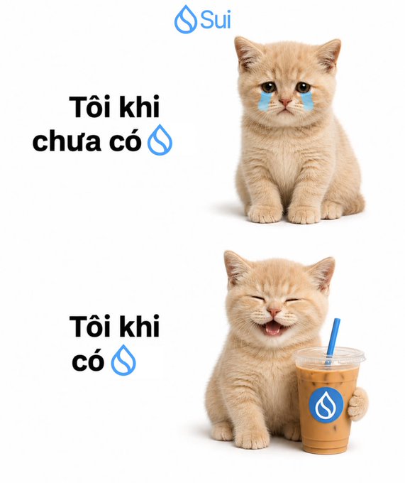 The image features two adorable kittens sitting next to each other, both holding a drink with straws. The kitten on the left has a sad expression while the one on the right appears happy. The background of the image is white, which contrasts nicely with the cats and their drinks. The caption below the image reads: "Có những thứ thiếu vẫn ổn. Riêng Sui thì hơi khó Điểm danh những anh em mê Sui bên dưới nàooooo".