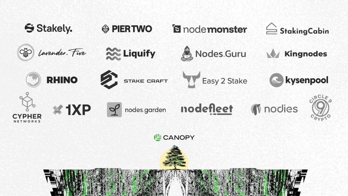A collection of cryptocurrency staking platform logos including Stakely, Pier Two, Node Monster, Staking Cabin, Lavender.Five, Liquify, Nodes.Guru, Kingnodes, RHINO, Stake Craft, Easy 2 Stake, Kysenpool, Cypher Networks, 1XP, Nodes Garden, NodeFleet, Nodies, Circle Crypto, and Canopy.