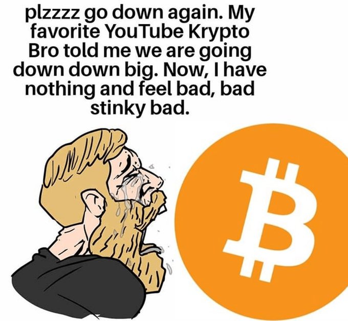 A meme featuring a crying bearded character with text 'plzzzz go down again. My favorite YouTube Krypto Bro told me we are going down down big. Now, I have nothing and feel bad, bad stinky bad.' next to a Bitcoin (₿) logo.