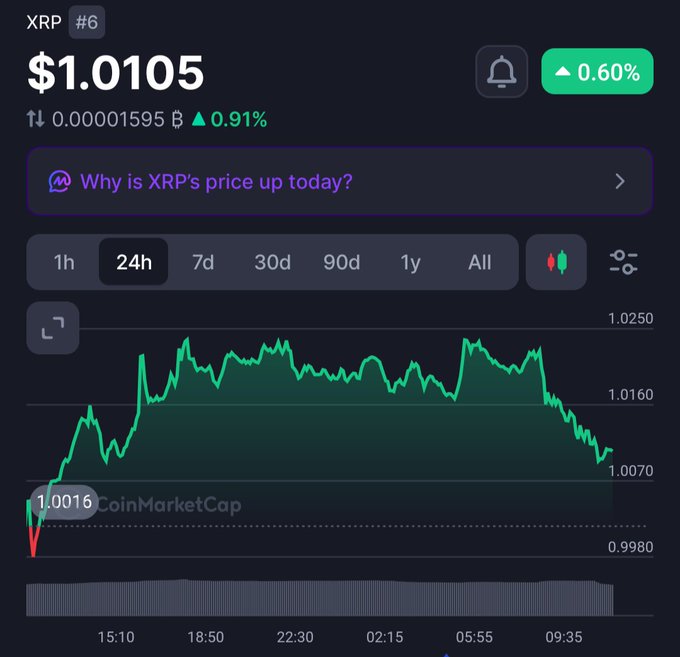 The image shows a CoinMarketCap chart of XRP (#6) trading at $1.0105 with a +0.60% 24h gain and +0.91% daily trading volume increase, displaying volatile price action between roughly $0.998 and $1.025 over the past 24 hours. The chart's overall upward movement into the green supports the post's optimistic "We are soo back!" sentiment about XRP.