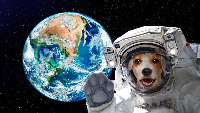 A digital illustration of a Jack Russell Terrier wearing a spacesuit and waving its paw, with planet Earth floating in space behind it.