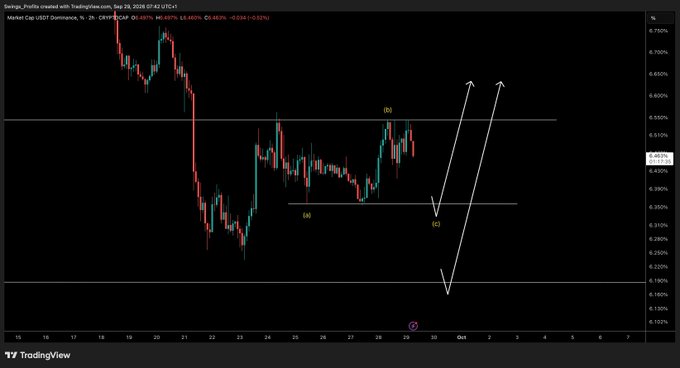 A TradingView 2-hour candlestick chart of USDT.D dominance on September 29, 2025, showing a bearish trend with annotated key levels at "SB" (~0.5355), "SM" (~0.3555), and "BV" (~0.31), along with two upward arrows projecting a potential dump from lows near 0.17, supporting the post's bearish USDT dominance outlook.