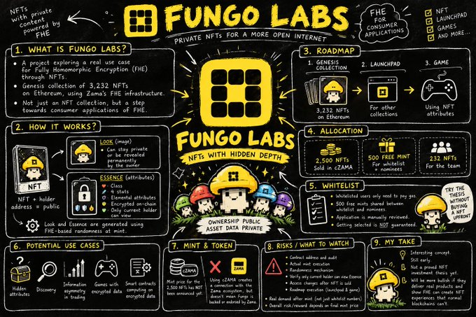 A detailed infographic explaining 'FUNGO LABS' - private NFTs for a more open internet - covering what it is, how it works, roadmap, allocation, whitelist, potential use cases, and mint/token details.