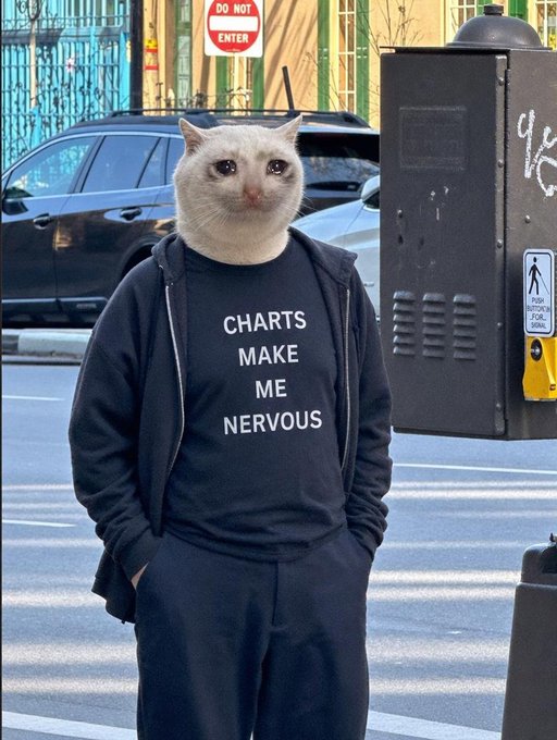 A white cat wearing a black t-shirt reading "CHARTS MAKE ME NERVOUS" stands on a city street near a "DO NOT ENTER" sign, humorously embodying the post's point about $CASHCAT's strong market performance being an obvious pick despite the feline mascot's own nervousness about charts.