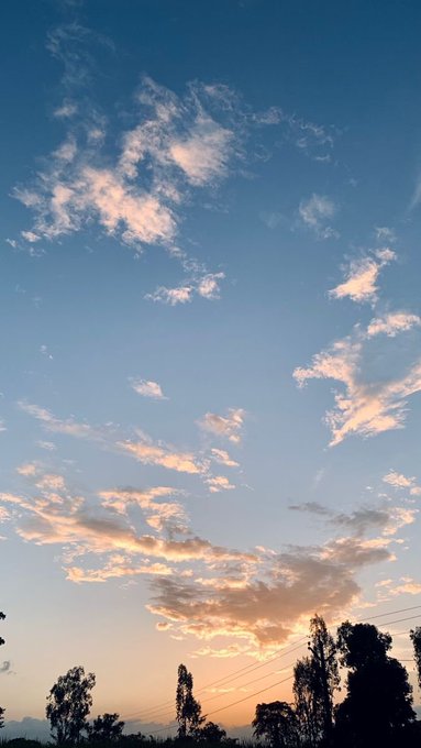 A serene sunset sky filled with scattered, glowing clouds above a silhouette of trees, with warm golden light breaking through on the horizon—capturing that peaceful end-of-week energy. Power lines stretch across the frame, grounding the scene as Friday's grind winds down and the weekend approaches.