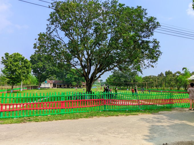 A large shade tree stands in an open area with green and red plastic fencing set up around it, with people gathered in the background.