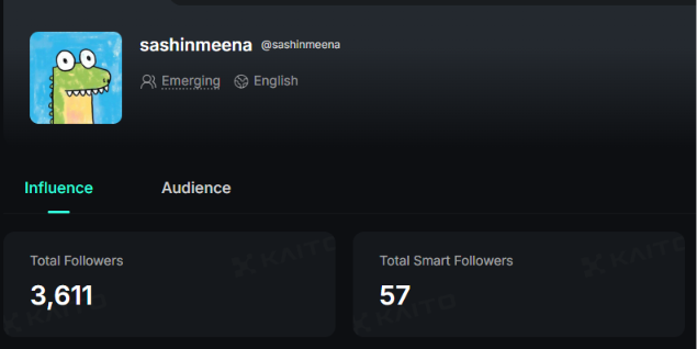 A social media analytics profile for 'sashinmeena' showing 'Emerging' status, with 'Total Followers' at 3,611 and 'Total Smart Followers' at 57.