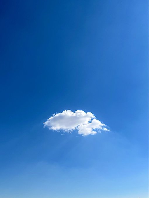 A photograph of a single white cloud floating in a clear blue sky.