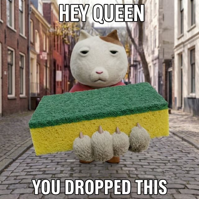 A humorous meme featuring a grumpy cat with the text 'HEY QUEEN' at the top and 'YOU DROPPED THIS' at the bottom, where the cat appears to be holding a green and yellow sponge.