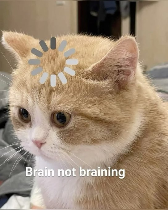 Close-up photo of an orange and white cat with a loading icon animation on its forehead and the caption 'Brain not braining'.