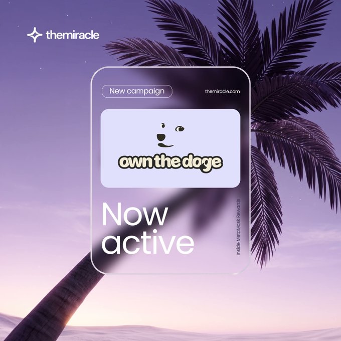 A purple-themed promotional graphic featuring a palm tree background with a translucent card displaying 'themiracle' branding, 'New campaign,' 'themiracle.com,' a cartoon dog face, 'own the doge,' and 'Now active,' along with 'Inside MetaMask Rewards.'