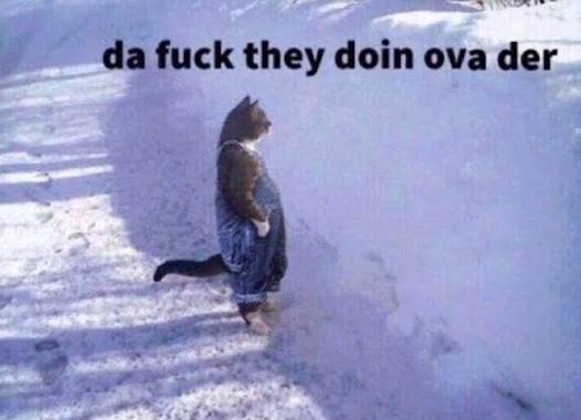 A tabby cat stands upright in a snowy scene, appearing to peer over a snowbank, with the text "da fuck they doin ova der" overlaid at the top. The caption "me listening:" pairs with the image to humorously suggest the cat's confused, attentive posture represents the listener trying to focus on what others are saying.