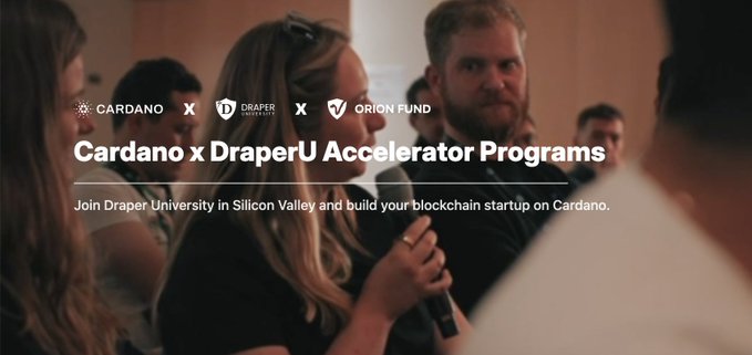 A promotional banner showing people in conversation announces "Cardano x DraperU Accelerator Programs," inviting participants to "Join Draper University in Silicon Valley and build your blockchain startup on Cardano," with logos for Cardano, Draper University, and Orion Fund displayed at the top. The image visually reinforces the post's message about the accelerator program by showcasing networking and collaboration opportunities for Cardano builders.