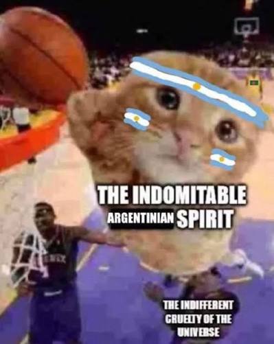 A crying kitten edited with Argentine flag paintballs cries while a basketball flies toward it, captioned "THE INDOMITABLE ARGENTINIAN SPIRIT" against "THE INDIFFERENT CRUELTY OF THE UNIVERSE," humorously framing a casual "Gm" (good morning) post as a relatable meme about facing life's small struggles with dramatic resilience.