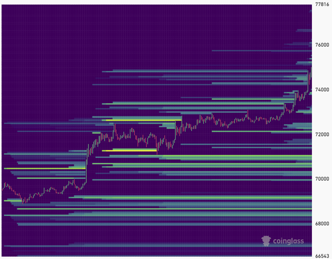 A Coinglass liquidation chart for Bitcoin showing price levels ranging from approximately 65,543 to 77,816, with horizontal bars indicating liquidation density at various price points.