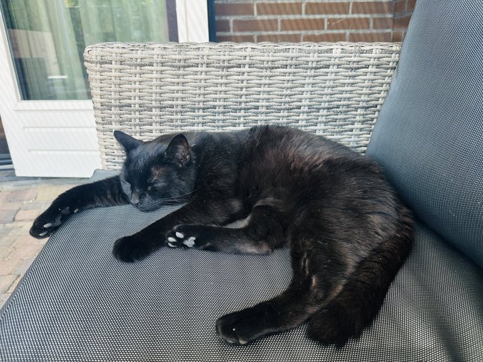 A black cat sleeping peacefully on a gray outdoor patio chair cushion, with a wicker basket and brick wall visible in the background.