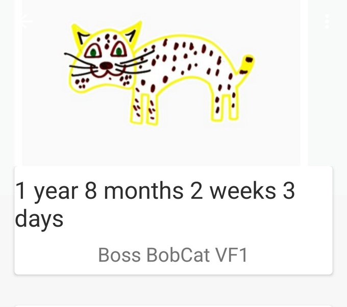 A cartoon sticker of a spotted yellow cat with green eyes, labeled '1 year 8 months 2 weeks 3 days' and 'Boss BobCat VF1.'