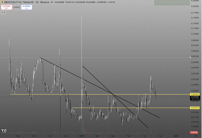 A dark-themed candlestick trading chart titled 'BROCCOLI714 / TetherUS · 1G · Binance' displays price action with black trend lines, yellow horizontal support/resistance levels marked at '0.02201' and '0.01573', and a current price of '0.02060' showing a -1.81% decline.