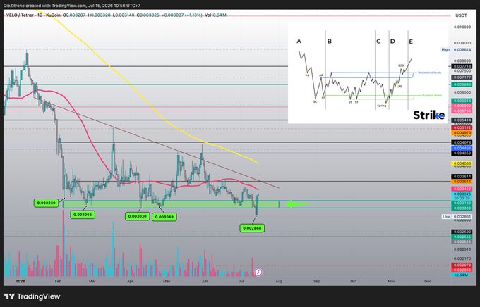 A TradingView daily chart for VELO/USDT shows price bouncing from the 0.003230-0.003045-0.003165 support zone with a green arrow, while the MACD, RSI, and Stochastic RSI indicators have all turned bullish, and an inset "Strike" diagram illustrates the Wyckoff spring pattern that has just played out.