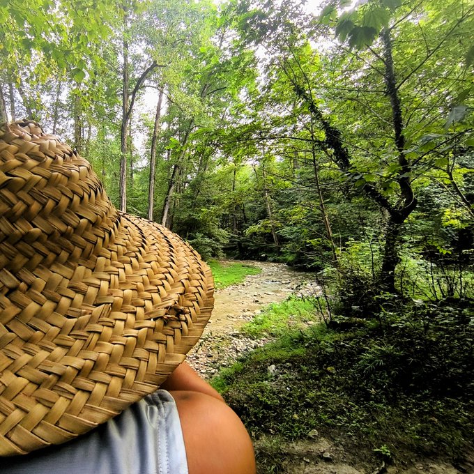 A person wearing a large woven straw hat and a light blue sleeveless top stands on a dirt path looking into a lush green forest with tall trees and moss-covered ground.